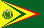 Bandeira de cidade Bauru