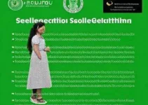 seleção de estagiários