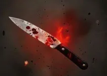 homem esfaqueia ex-namorada idosa