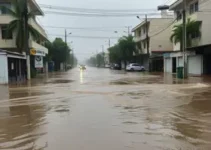 alagamentos