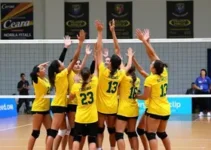 vôlei