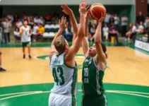 Araçatuba vitórias voleibol Liga APV