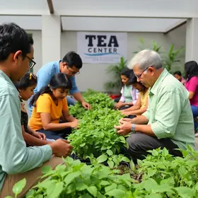 Centro TEA