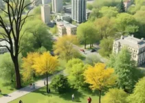 Plano Diretor de Arborização Urbana