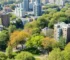 Plano Diretor de Arborização Urbana