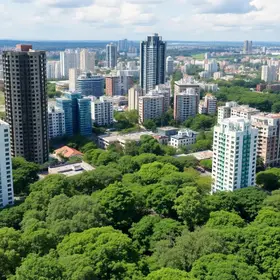 Plano Diretor de Arborização Urbana