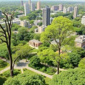 Plano Diretor de Arborização Urbana