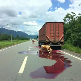tombamento de carreta na Marechal Rondon
