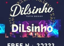 show gratuito Dilsinho Bauru