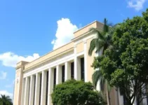 cursos gratuitos de extensão