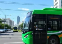 passe livre eleições 2026