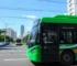 passe livre eleições 2026