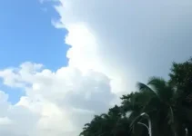 função seno